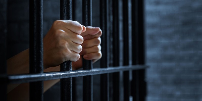 Monad distribuirá tokens MON para 250 mil usuários; confira os critérios - Imagem do artigo original